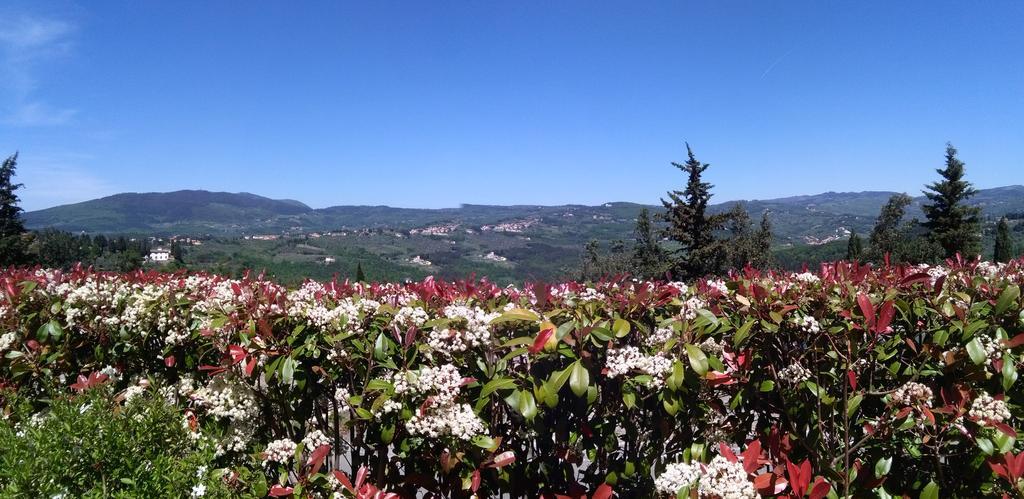 Residence Fiesole Exterior photo